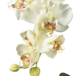 18" X 16" Artificial Phalaenopsis Orchid With Glass Vase White - Nearly Natural