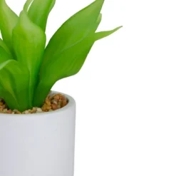 Northlight 8" Green Artificial Aloe Plant In A White Pot -Decora Shop GUEST 3d7fff47 1699 4cd9 ae1d c7930f565b49