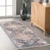 NuLOOM Addison Transitional Faded Medallion Fringe Area Rug
