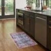 Nourison Washable Brilliance Bordered Vintage Indoor Rug