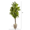 Nearly Natural 68-in Dracaena Artificial Plant In Sand Colored Planter (Real Touch)