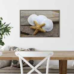 23" X 16" Sand Dollar And Starfish Still Life By Savanah Plank Danita Delimont Framed Canvas Wall Art - Amanti Art -Decora Shop GUEST 6be8d984 bd03 46ae a21b d4bf7392dc5e