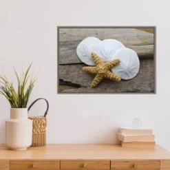 23" X 16" Sand Dollar And Starfish Still Life By Savanah Plank Danita Delimont Framed Canvas Wall Art - Amanti Art -Decora Shop GUEST 79fdeb31 fc21 4b5f 8321 c7dc06045f5e