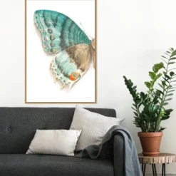 22" X 33" Fragile Wings III By Danhui Nai Framed Canvas Wall Art Light Brown - Amanti Art -Decora Shop GUEST 848ceda7 363f 4317 b3f9 929502efc450