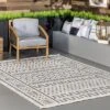 NuLOOM Outdoor Cora Area Rug