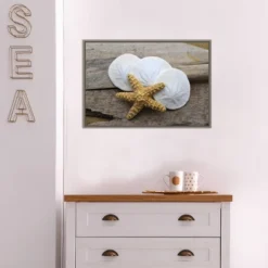23" X 16" Sand Dollar And Starfish Still Life By Savanah Plank Danita Delimont Framed Canvas Wall Art - Amanti Art -Decora Shop GUEST b393c88a aa36 4817 b820 f9b91ad6cfab