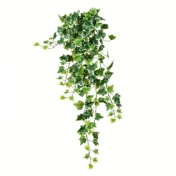Vickerman Artificial Varigated Ivy Hanging Bush -Decora Shop GUEST b89bcd60 5138 433c b4a6 0a227c6804bf