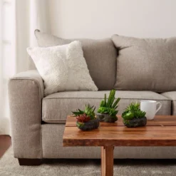 Nature Spring Artificial Succulent Plant Arrangements In Faux Stone Pots – Set Of 3 -Decora Shop GUEST c1dbfee0 2e3c 4d64 9f62 919227456ace