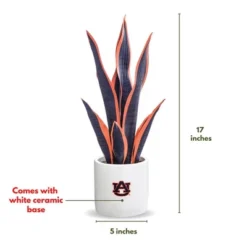 Forever Leaf Auburn Faux Snake Plant, Indoor Artificial Plant For Home Decor -Decora Shop GUEST c2fd0acc e8cd 453b 92ee 0871ffcf2f8a