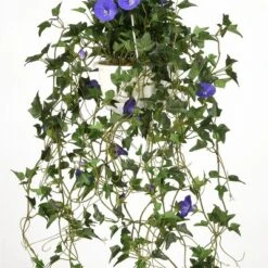 National Tree Company 44" Hanging Morning Glory Plant -Decora Shop GUEST cc91873c e928 4f55 b8e4 decc43159ac9