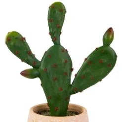 Northlight Real Touch™ Artificial Green And Red Potted Floral Cactus 9.5" -Decora Shop GUEST d441b7e9 68de 46db 87a8 53b658aa8cb7