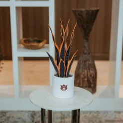 Forever Leaf Auburn Faux Snake Plant, Indoor Artificial Plant For Home Decor -Decora Shop GUEST d5b11a78 b9ac 4785 81c9 15e0b3073c45