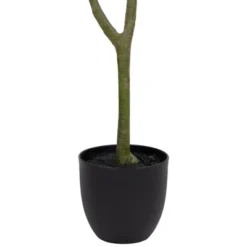 Northlight 4' Artificial Unbraided Potted Green Money Tree -Decora Shop GUEST e07a198c 4d81 44ed 9a41 88abf5d8b9f8