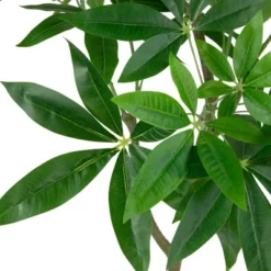 Northlight 4' Artificial Unbraided Potted Green Money Tree -Decora Shop GUEST fec5ce88 9406 4d1b a61d 799b0ec18f35